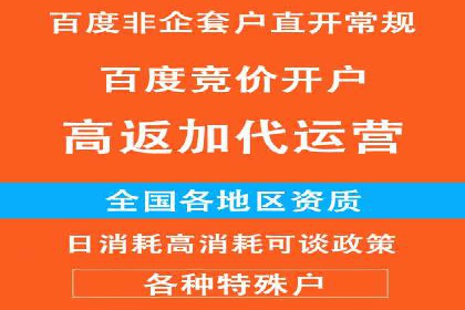 成功案例：专业SEM托管服务助力企业抢占行业制高点